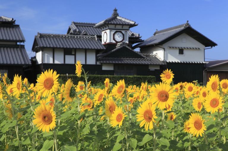 高知のレンタカー予約